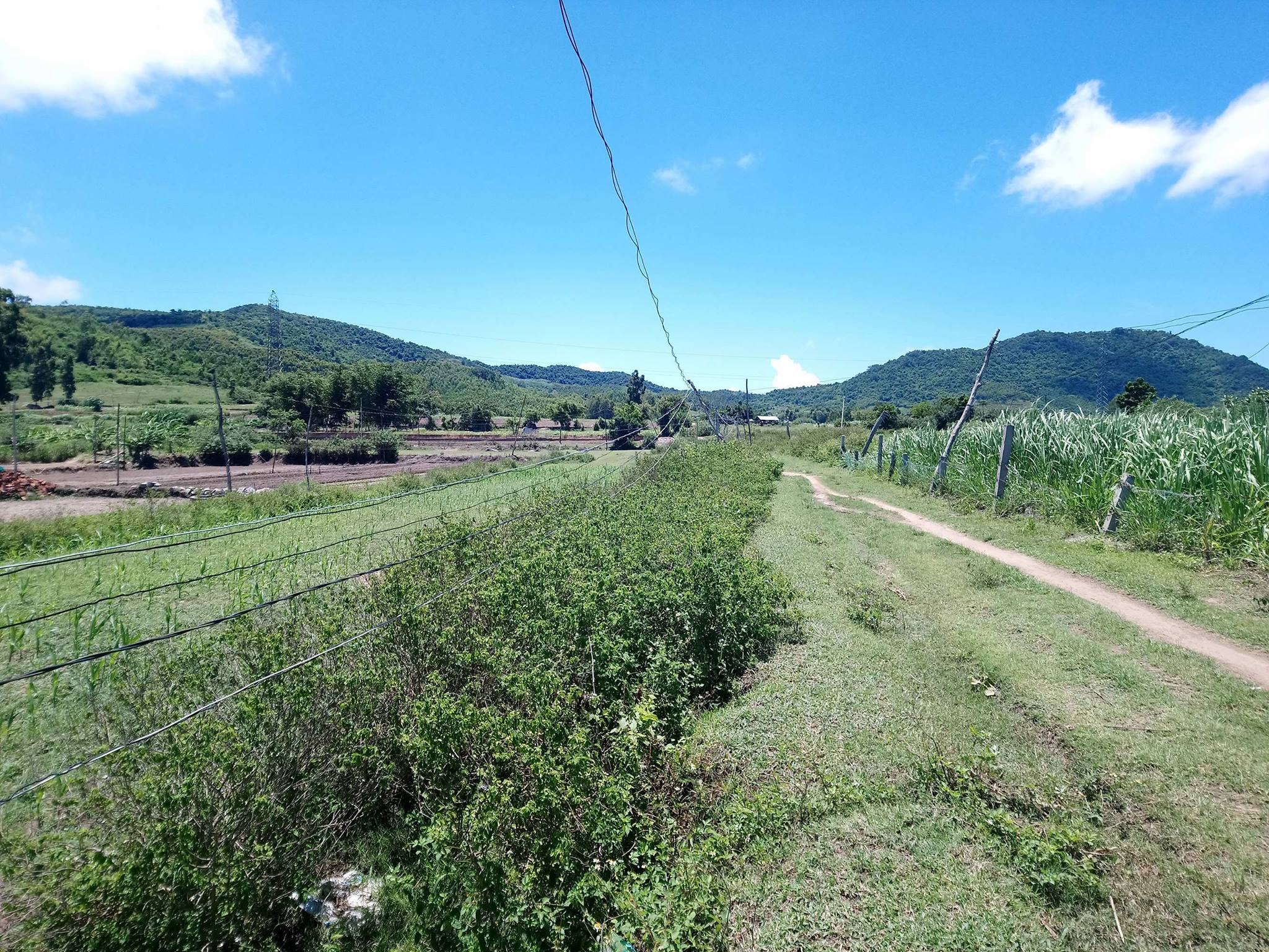  Hiện trạng đường điện tưới rau màu tại huyện Đak Pơ. Ảnh: Tuyết Mai