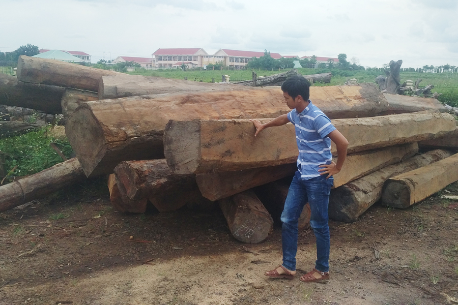 Gần 30m3 gỗ vừa được phát hiện tại khu vực núi sâu hiểm trở. Ảnh: N.G