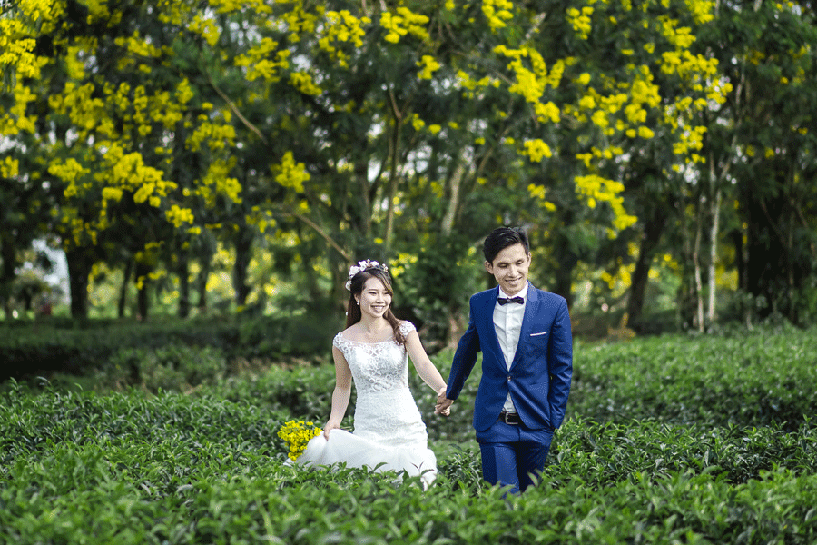 Rừng hoa muồng vàng ở Bàu Cạn đang trở thành địa điểm chụp ảnh cưới lý tưởng cho các cặp uyên ương. Ảnh: Phạm Ân