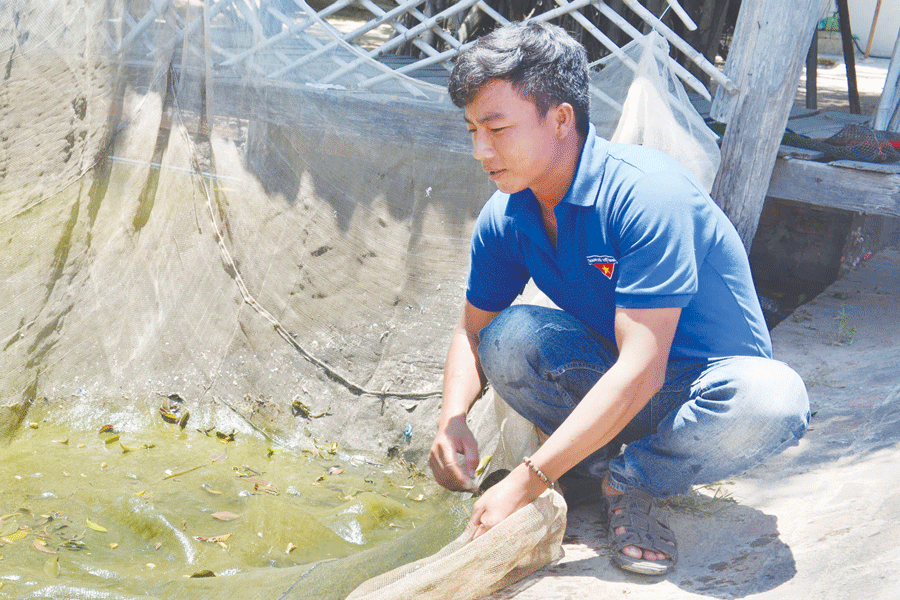 Nhờ dịch vụ câu cá và kinh doanh ăn uống, mỗi năm Hoàng Văn Ngọc thu về trên 500 triệu đồng. Ảnh: H.Đ.T