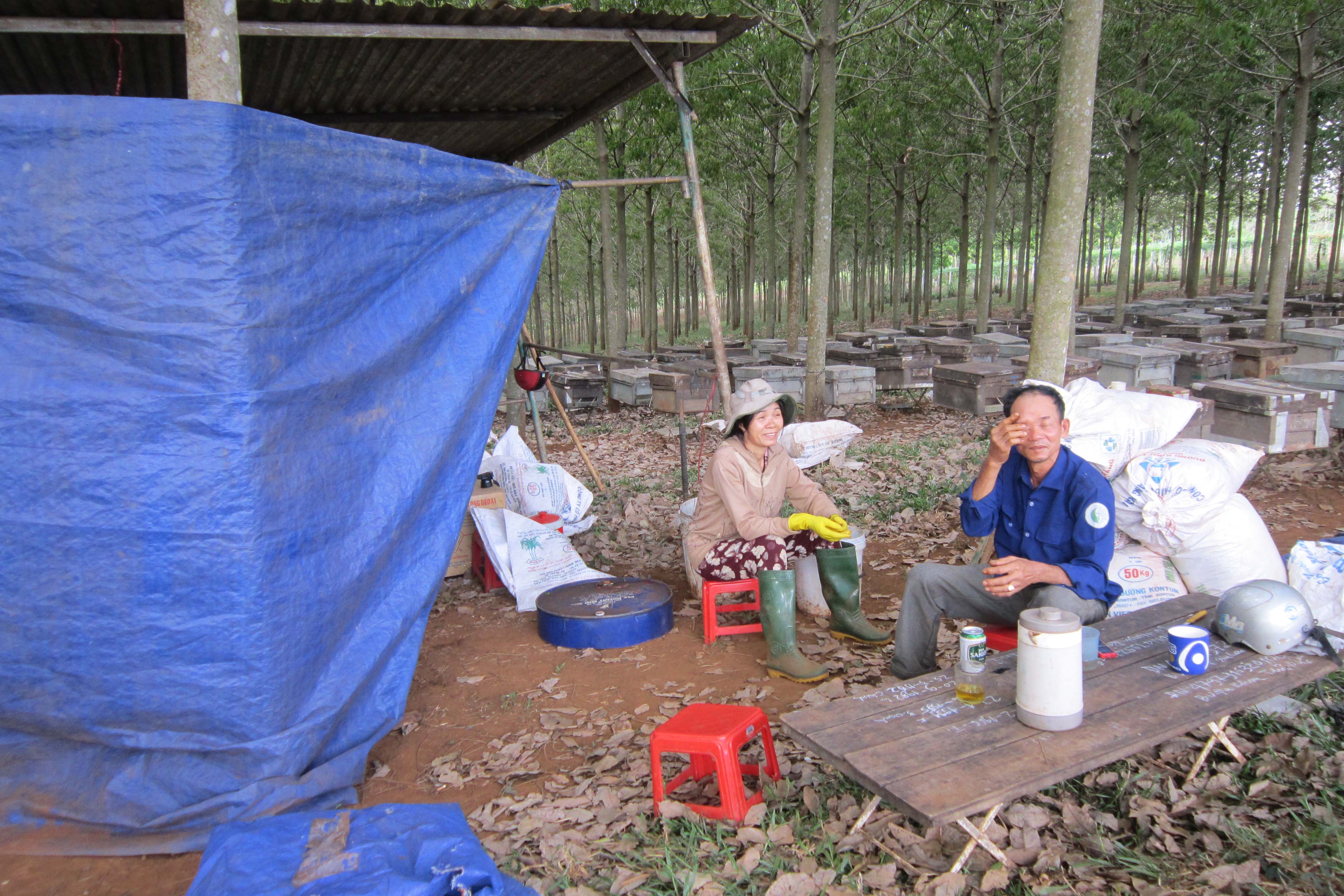 Vợ chồng anh Chinh bên lán trại cùng những thùng ong mật.   Ảnh: Đ.P