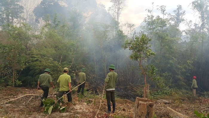 Hình ảnh lửa thiêu rụi hàng chục ha rừng ở Gia Lai - Ảnh 4