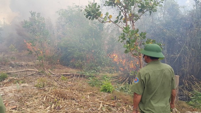 Hình ảnh lửa thiêu rụi hàng chục ha rừng ở Gia Lai - Ảnh 7