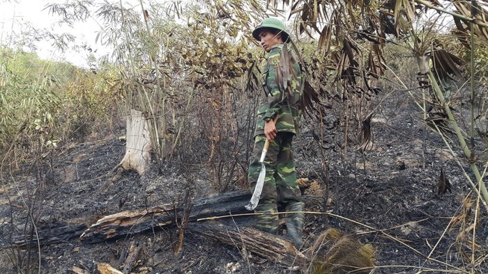 Hình ảnh lửa thiêu rụi hàng chục ha rừng ở Gia Lai - Ảnh 9