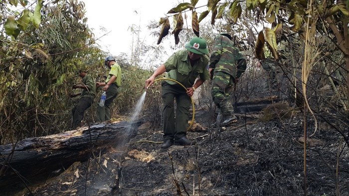 Hình ảnh lửa thiêu rụi hàng chục ha rừng ở Gia Lai - Ảnh 11