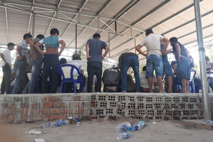 Công an Gia Lai điều tra đối tượng bảo kê, xóa bỏ trường gà - Ảnh 1