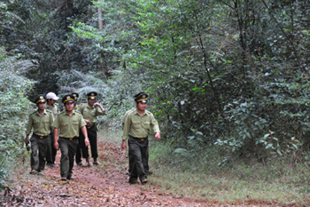 Các ngành chức năng huyện Kbang tăng cường tuần tra, kiểm soát bảo vệ rừng. Ảnh: N.M