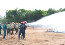 Gia Lai: Diễn tập chữa cháy rừng cấp tỉnh