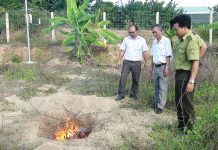 Krông Pa: Tiêu hủy 40 kg thịt heo rừng