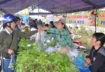 Chợ phiên nông sản an toàn ở  Ayun Pa. Ảnh: Đức Phương