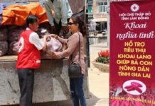 Hội Chữ thập đỏ Lâm Đồng giải cứu khoai cho nông dân Gia Lai
