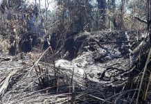 Liên tiếp xảy ra cháy rừng, UBND tỉnh Gia Lai ra công điện khẩn
