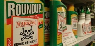 Mới: Bệnh nhân ung thư khai gì trong phiên tòa Monsanto?
