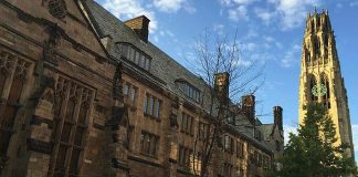 Đại học Yale đuổi nữ sinh viên mua suất học 1,2 triệu USD

