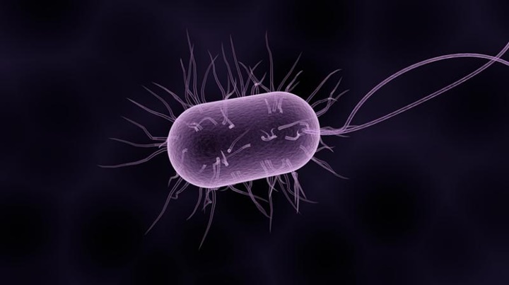 Vi khuẩn có thể tuyệt chủng không?