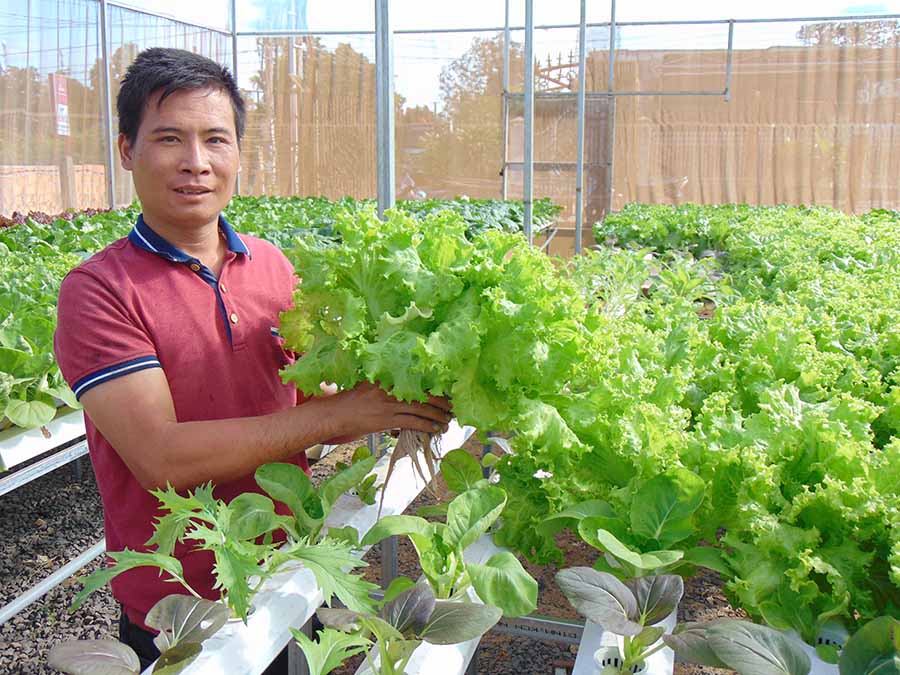 D:1BG-23-4-2019Đẩy mạnh phát triển nông nghiệp công nghệ cao ở Gia Lai- Ảnh Lê Nam.jpg