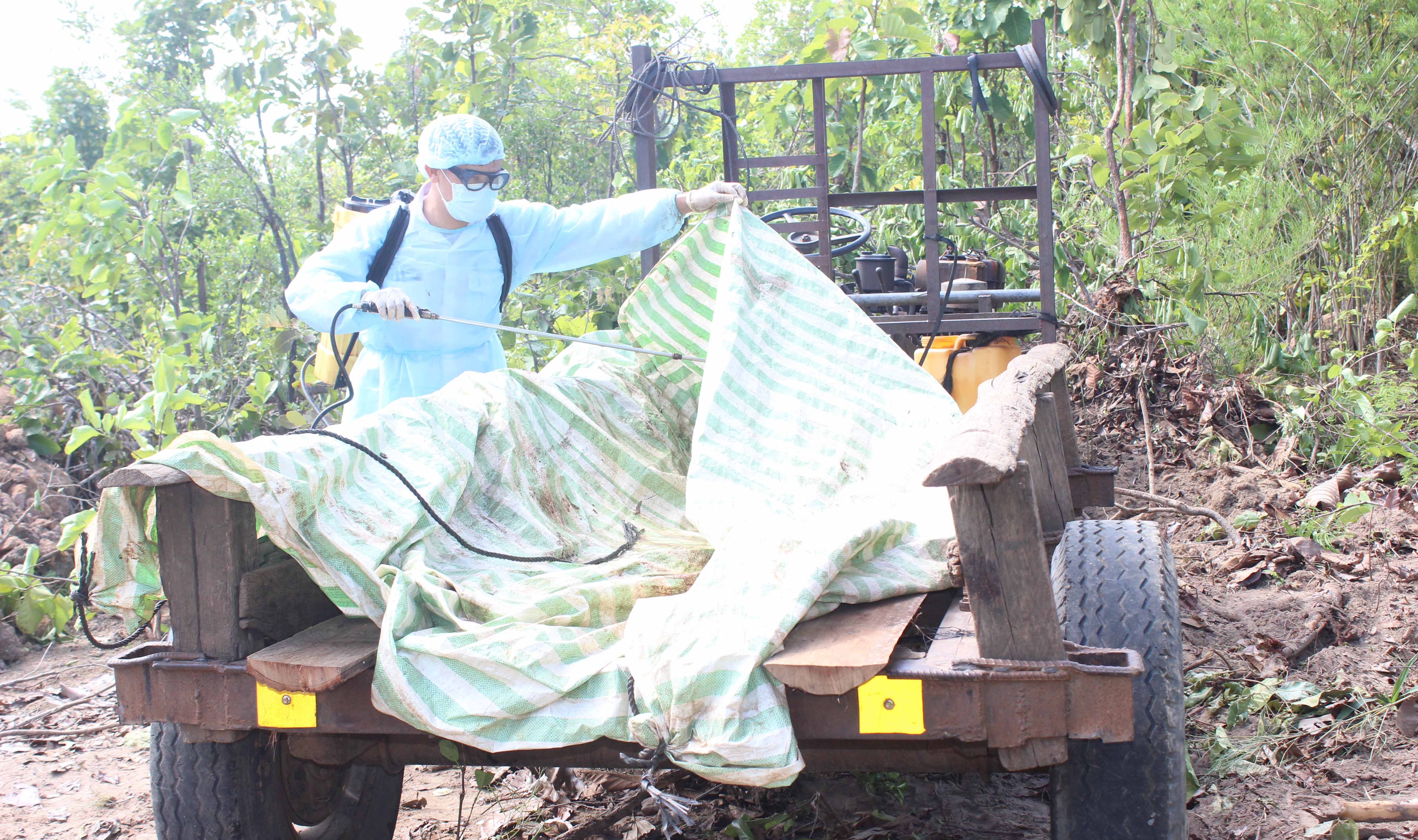  Tiêu độc khử trùng phương tiện ra vào làng Lốp và Làng Ngăn, xã Chư Don. Ảnh: Nguyễn Diệp