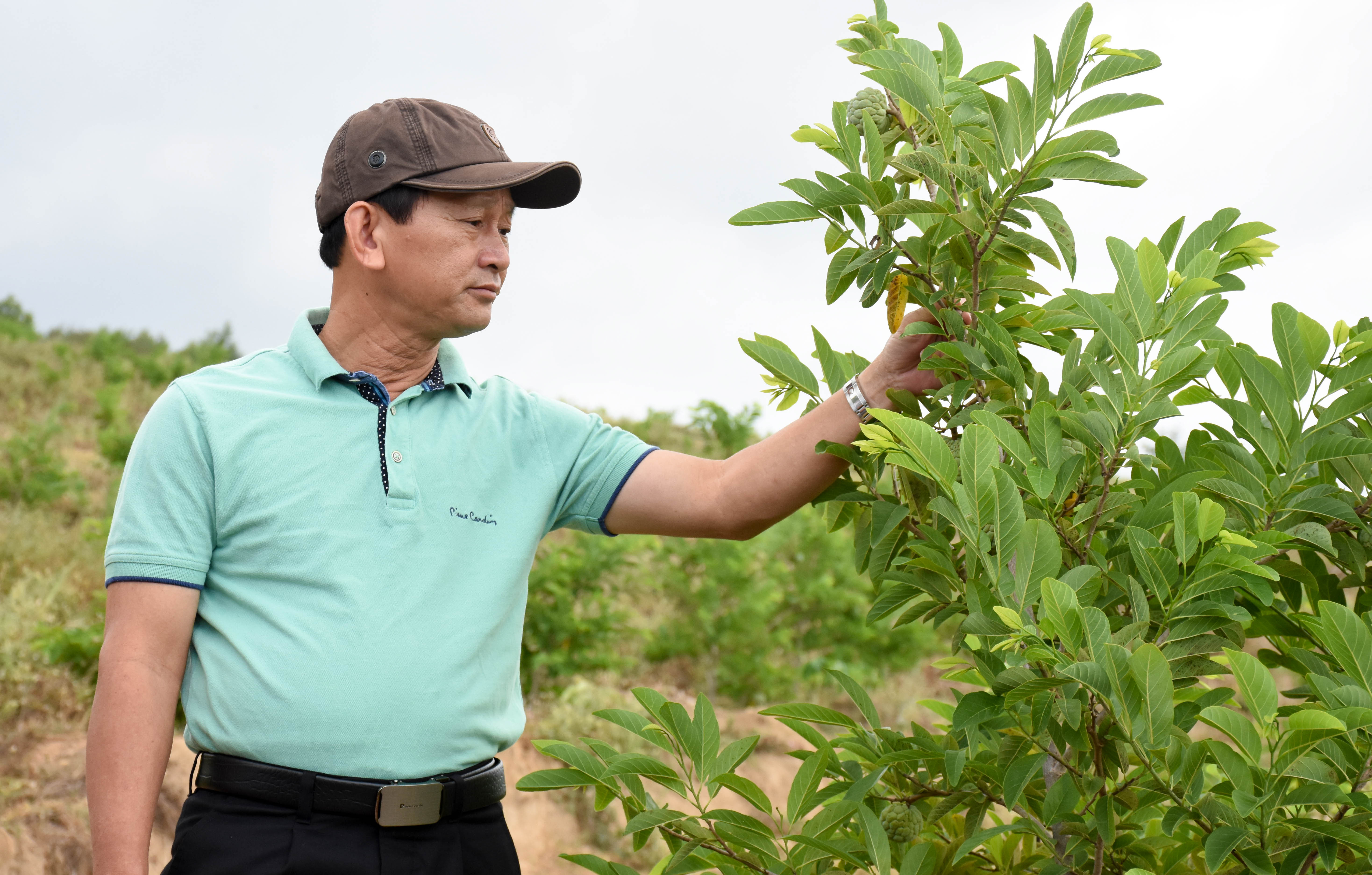 Theo đồng chí Dương Văn Trang, huyện Đak Pơ cần đánh giá cụ thể điều kiện thổ nhưỡng, khí hậu, làm tiền đề nhân rộng các loại cây ăn trái tại khu vực này. Ảnh Trần Dung