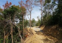 Dấu hiệu phá rừng để thi công điện: Chủ đầu tư cam kết khắc phục