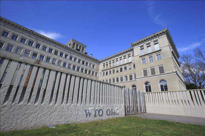 WTO cảnh báo tốc độ gia tăng các rào cản thương mại Ảnh 1