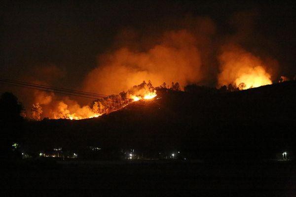 Khởi tố 3 nông dân dùng lửa đốt ong, cháy cả cánh rừng tại Hà Tĩnh Ảnh 2