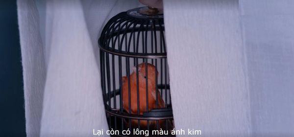 'Trần Tình Lệnh': Nhiếp Hoài Tang - Vở kịch lớn này cũng đến lúc nên hạ màn rồi! Ảnh 14