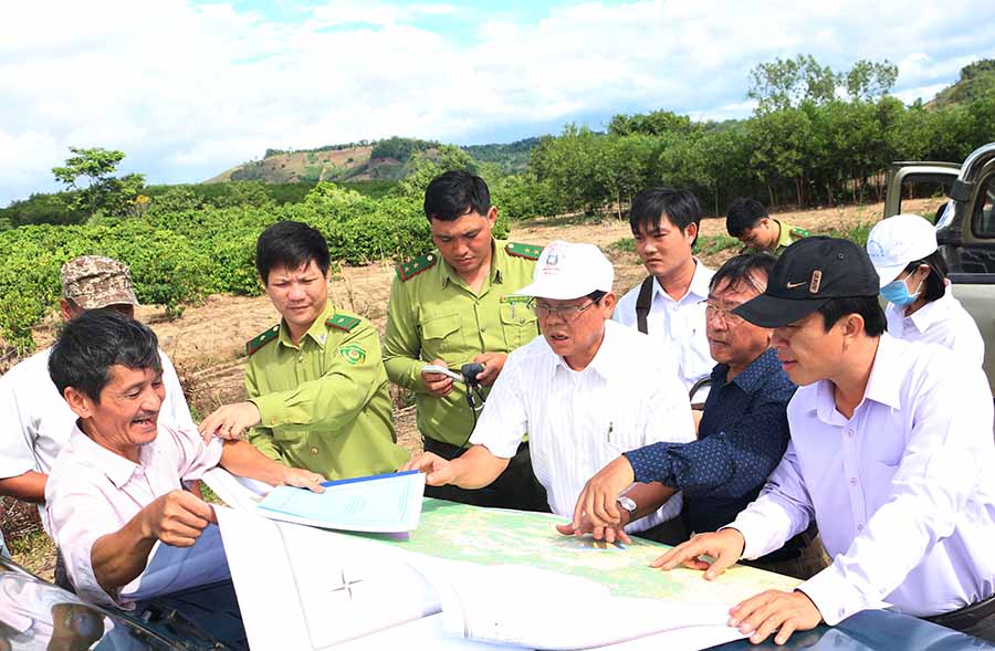 Đoàn công tác HĐND tỉnh đi khảo sát thực địa tại lâm phần Công ty TNHH một thành viên Lâm nghiệp Lơ Ku. Ảnh: Q.T