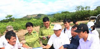 Đoàn công tác HĐND tỉnh đi khảo sát thực địa tại lâm phần Công ty TNHH một thành viên Lâm nghiệp Lơ Ku. Ảnh: Q.T