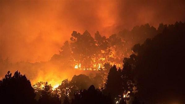 Tây Ban Nha: Hơn 8.000 người sơ tán vì cháy rừng ảnh 1