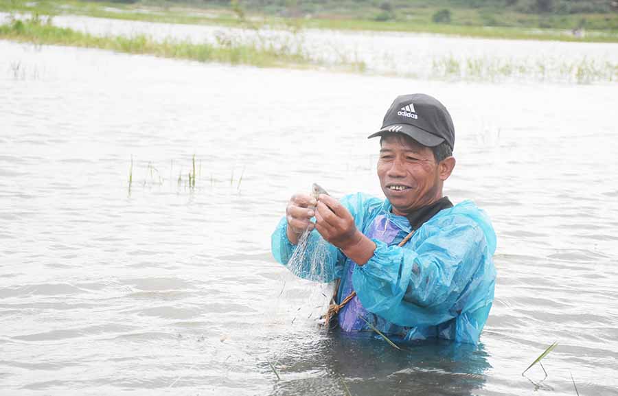 Ông Puih Hyinh (làng Ốp, phường Hoa Lư, TP. Pleiku) trầm mình giữa cánh đồng thả lưới bắt cá. Ảnh: M.N anh 001