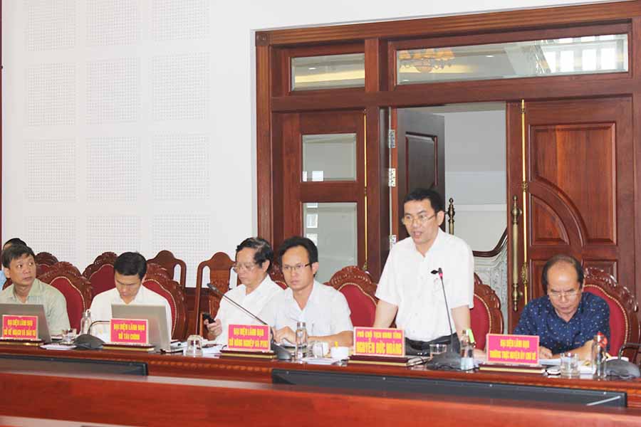 Phó Chủ tịch UBND tỉnh Nguyễn Đức Hoàng phát biểu tại buổi làm việc. Ảnh: N.D