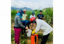  Cán bộ Trung tâm Dịch vụ nông nghiệp huyện Kbang hướng dẫn người dân phun thuốc diệt trừ  sâu bệnh hại trên  cây mía.  Ảnh: H.L
