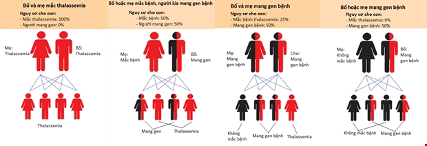 bệnh Thalassemia