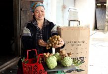 Gia Lai: Na Thái đậu trái ngọt trên núi khô cằn