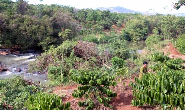 Môi trường sinh thái quanh lưu vực sông Sê San đang bị hủy hoại nặng nề vbtt