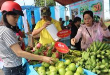   Người tiêu dùng chọn trái cây tại Chợ phiên nông sản an toàn huyện Kông Chro.  Ảnh: NGỌC MINH 