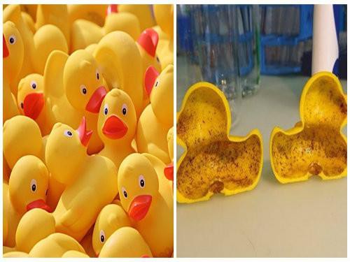 Cảnh báo: Một số đồ chơi trẻ em bằng nhựa ở Thái Lan được phát hiện chứa lượng lớn hóa chất ảnh hưởng đến sinh sản và nguy cơ mắc ung thư Ảnh 3