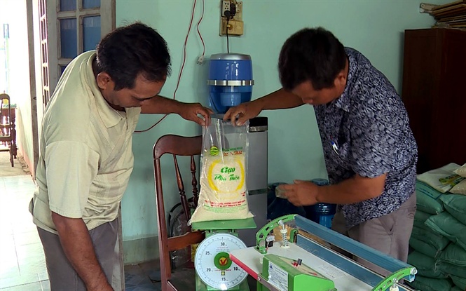 Đóng gói sản phẩm gạo Phú Thiện của Hợp tác xã Nông nghiệp Chư A Thai. vbtt