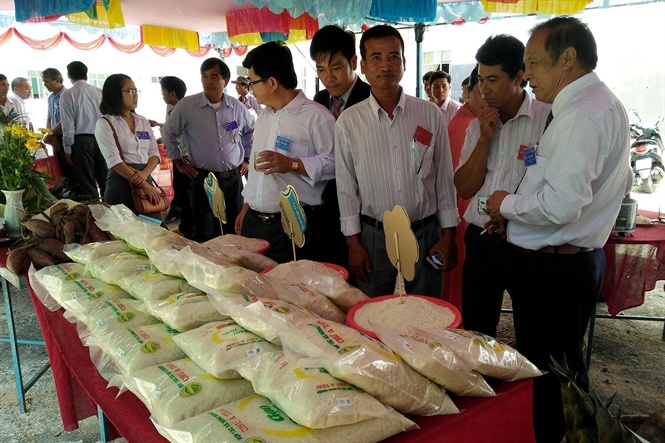 Sản phẩm gạo Phú Thiện trưng bày tại phiên chợ nông sản an toàn. vbtt