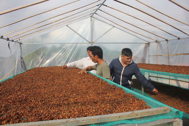 Cà phê “mất mùa, mất giá”, dân mày mò chế biến sản phẩm từ “A đến Z” - 2 Cà phê “mất mùa, mất giá”, dân mày mò chế biến sản phẩm từ “A đến Z” - 2 vbtt