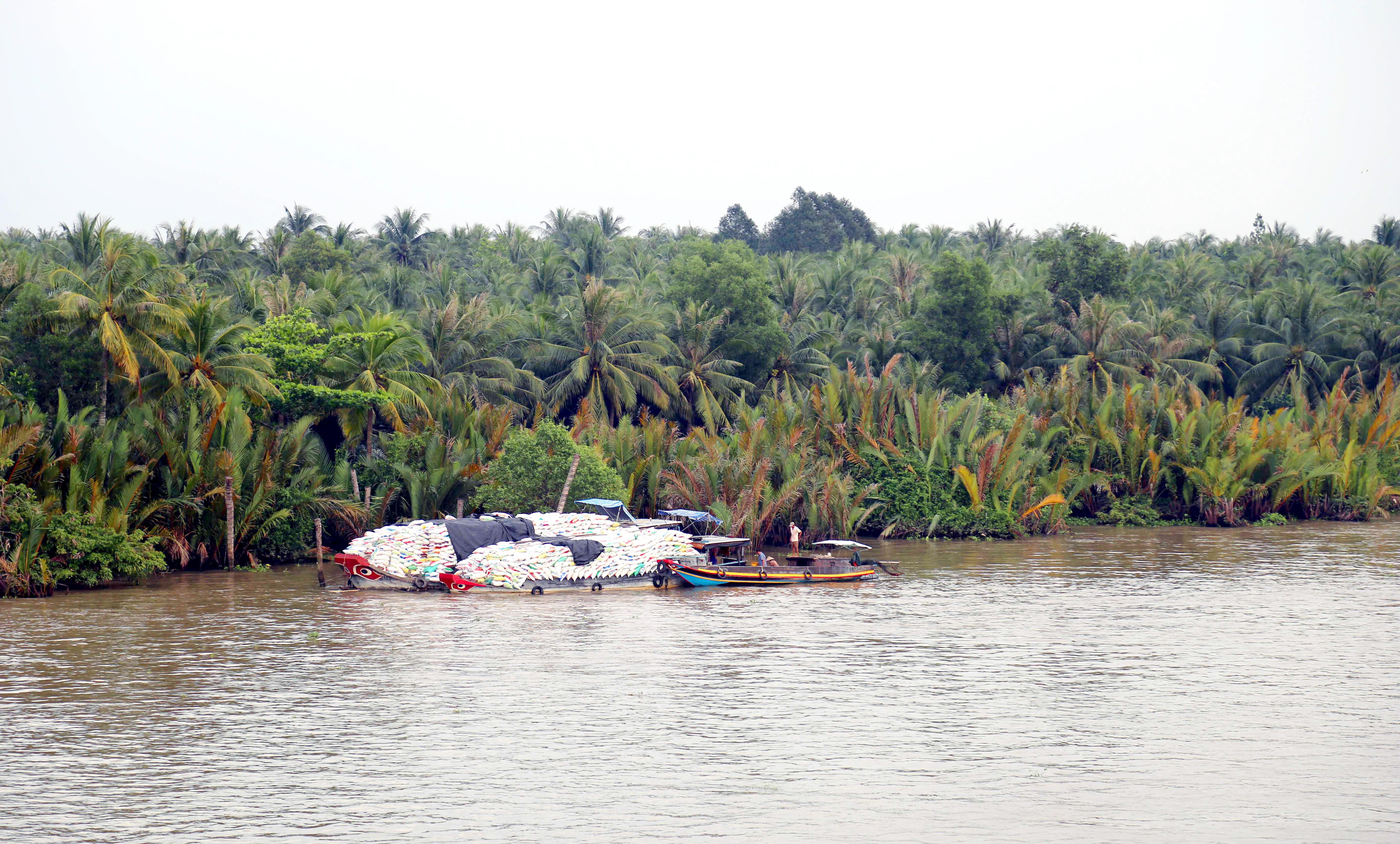 Cửa sông Hàm Luông