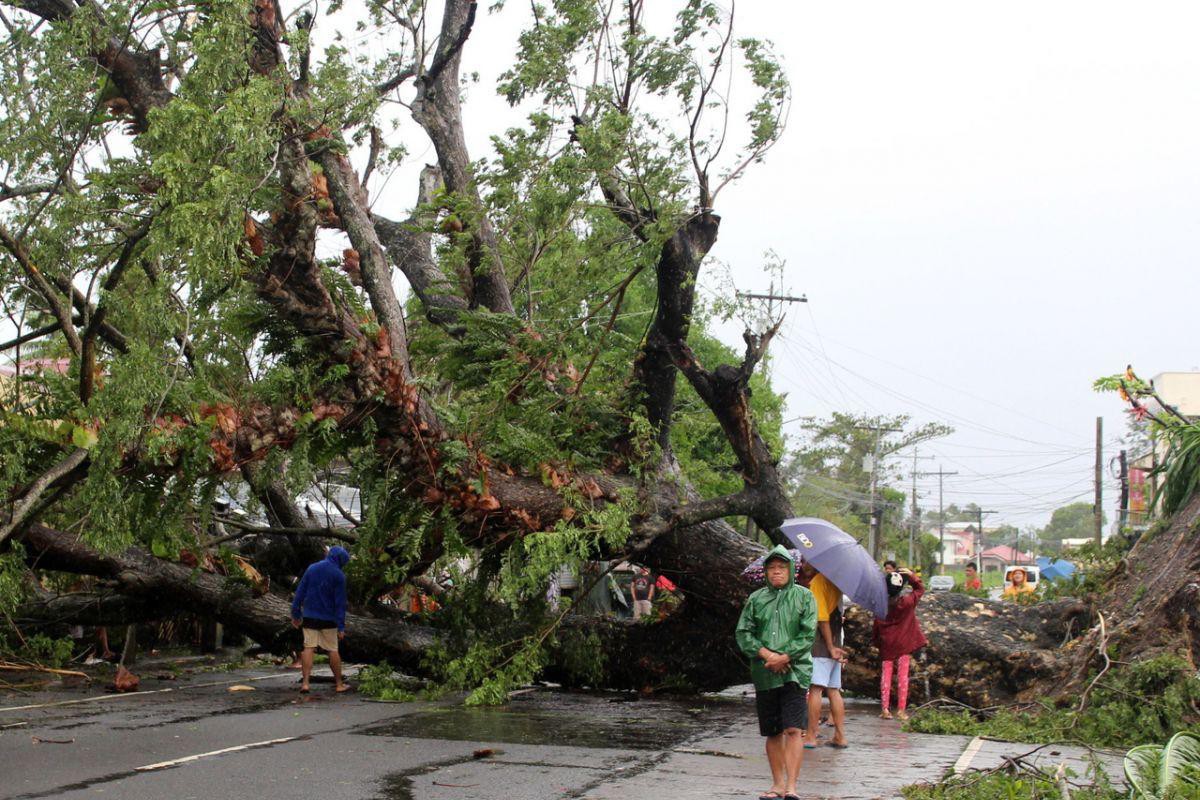 Cảnh tượng đổ nát sau khi bão Kammuri càn quét qua Philippines Ảnh 4