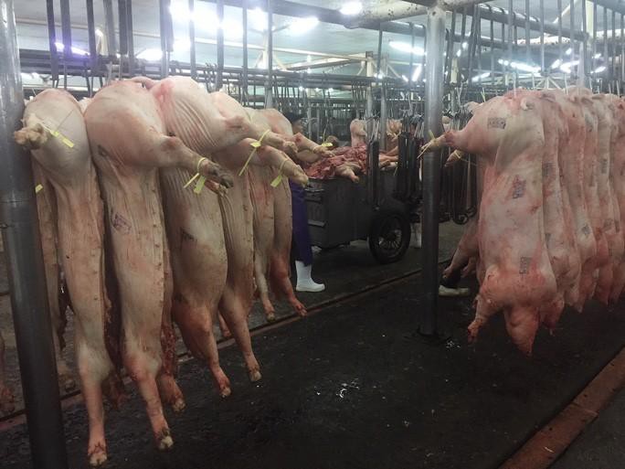 Giá heo hơi đồng loạt giảm ở cả 3 miền Ảnh 1