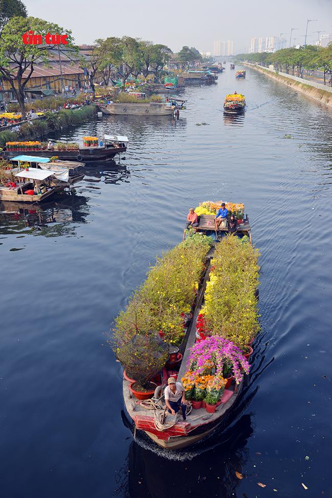 Nhộn nhịp chợ hoa Tết 'trên bến dưới thuyền' đầy sắc màu ở TP Hồ Chí Minh Ảnh 5