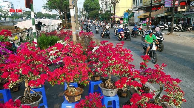 Nhộn nhịp chợ hoa Tết 'trên bến dưới thuyền' đầy sắc màu ở TP Hồ Chí Minh Ảnh 7