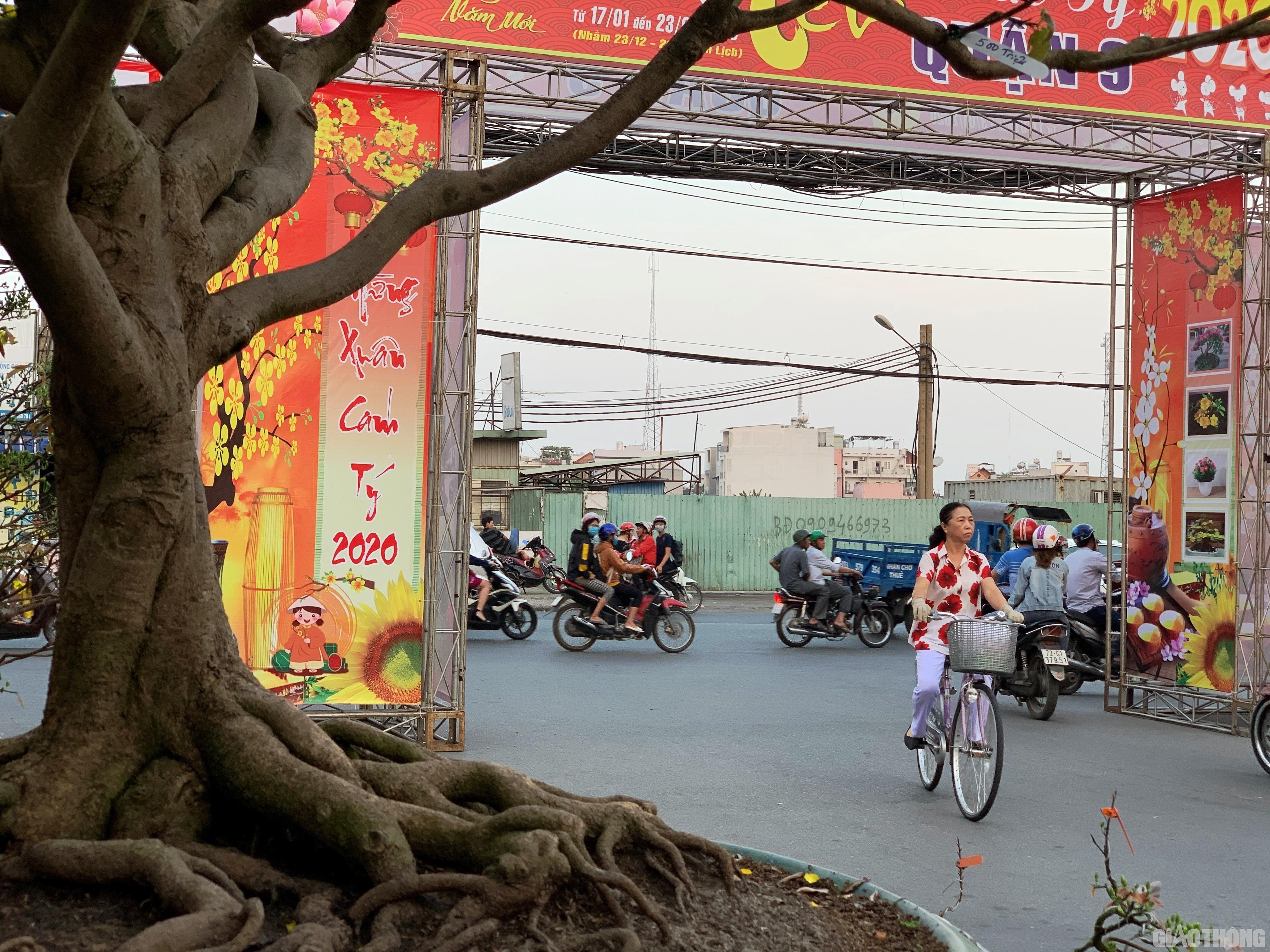 Nhộn nhịp hoa Tết ngoại thành Sài Gòn Ảnh 6