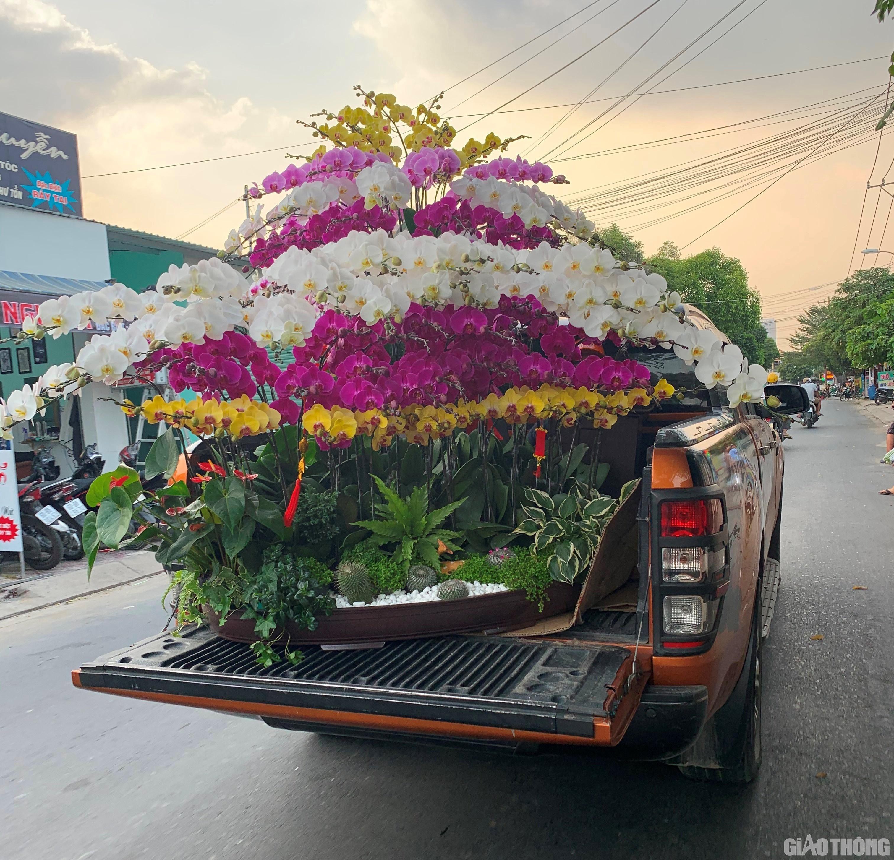 Nhộn nhịp hoa Tết ngoại thành Sài Gòn Ảnh 13