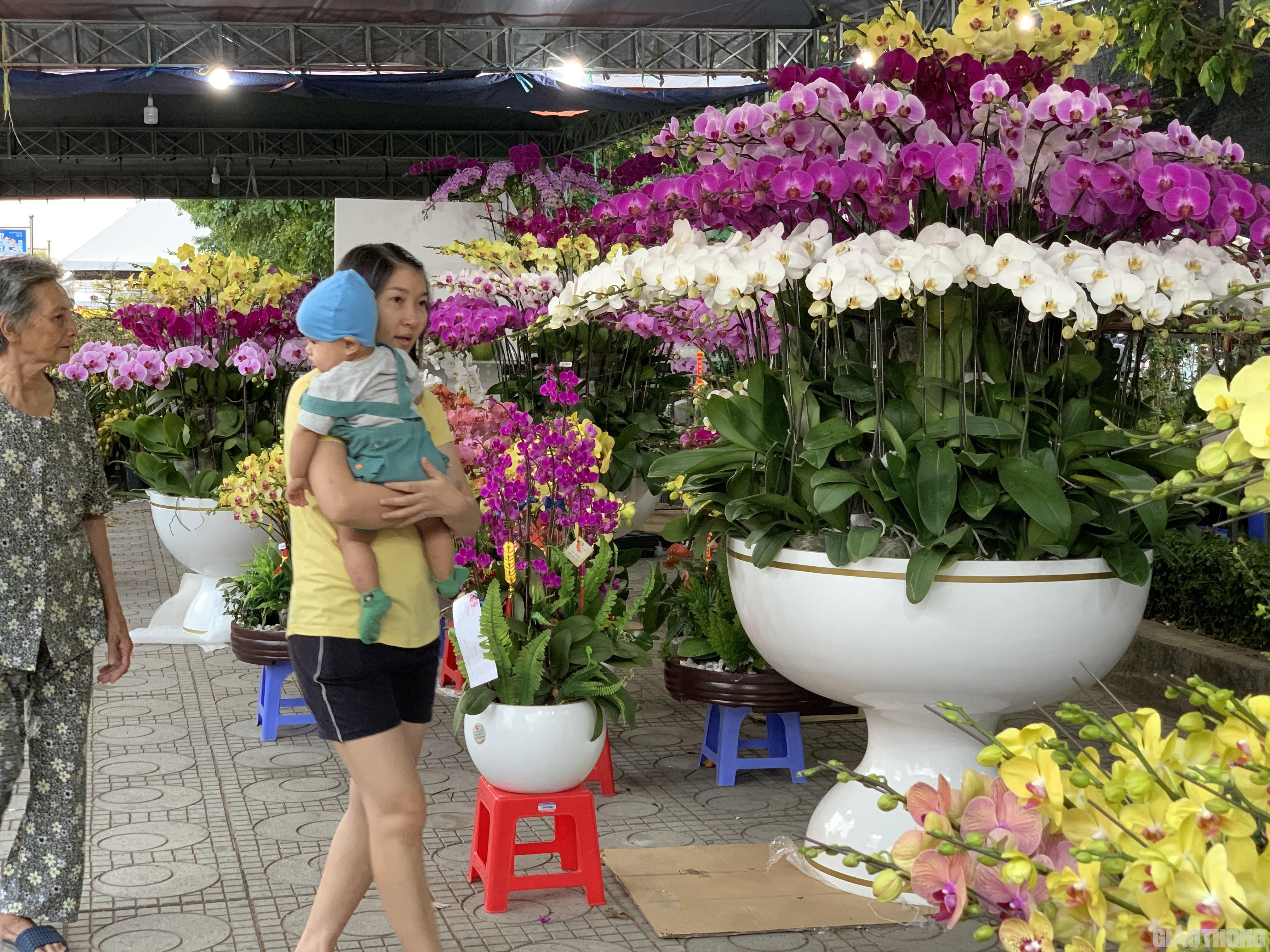 Nhộn nhịp hoa Tết ngoại thành Sài Gòn Ảnh 12