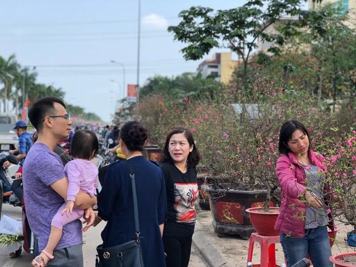 Bưởi diễn Hà Nội về chợ quê miền Trung giá gần 20 triệu đồng/cây hút khách Ảnh 5