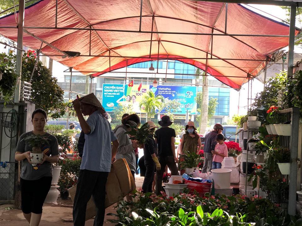 Bưởi diễn Hà Nội về chợ quê miền Trung giá gần 20 triệu đồng/cây hút khách Ảnh 8